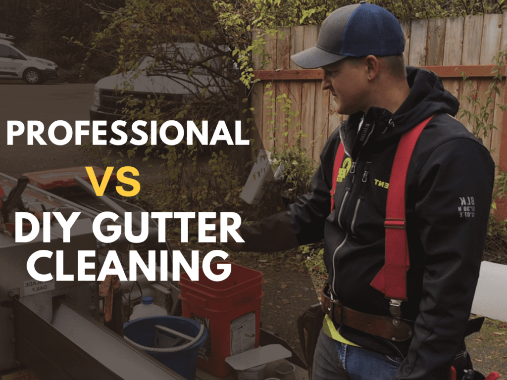 Professional vs DIY Gutter Cleaning: Which is the best? Professional vs DIY Gutter cleaning
