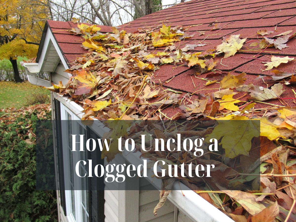 Overflowing clogged gutter filled with leaves and debris, causing water spillage.